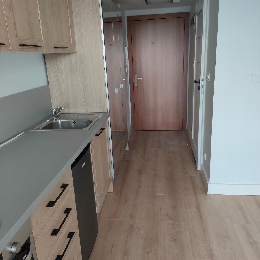 Sympozjum Loft Διαμέρισμα Krasków Εξωτερικό φωτογραφία